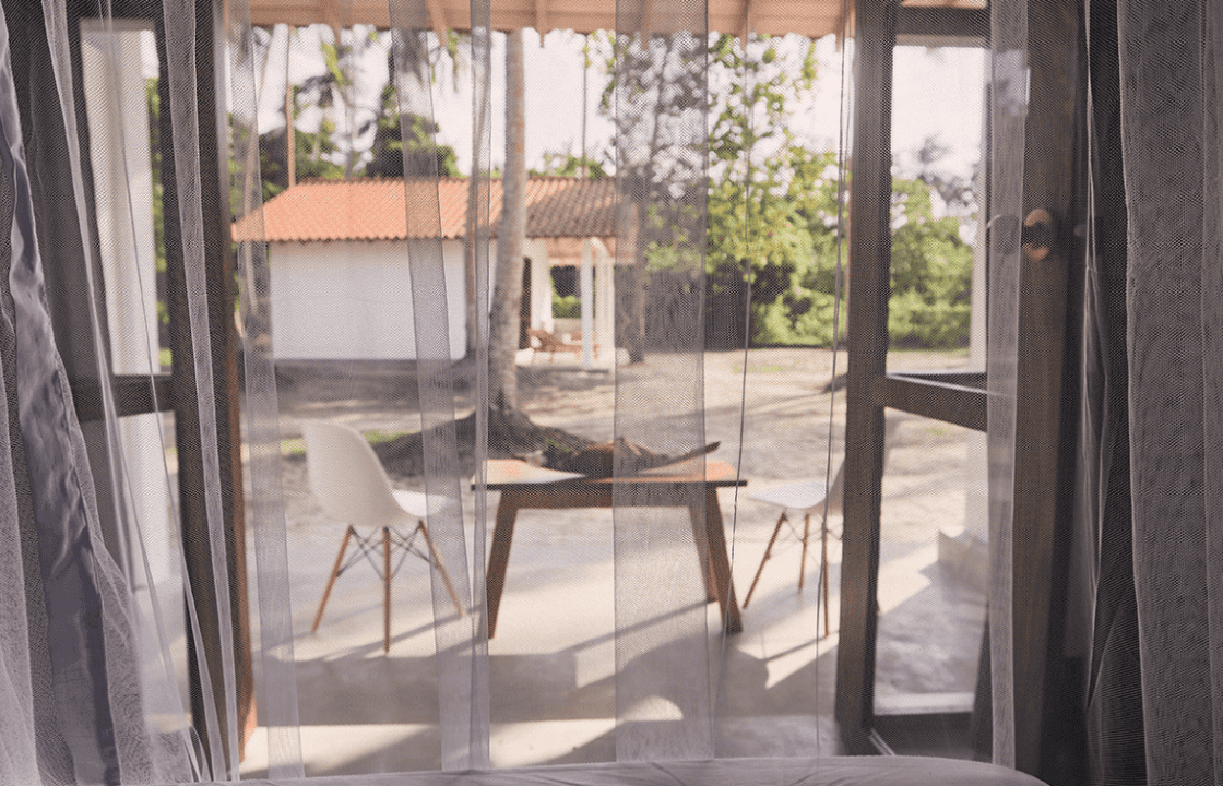 Wie schützt man Fenster vor Insekten richtig?