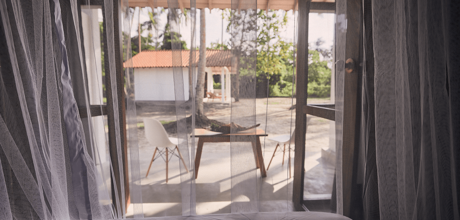 Wie schützt man Fenster vor Insekten richtig?